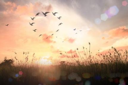 shutterstock 350846264