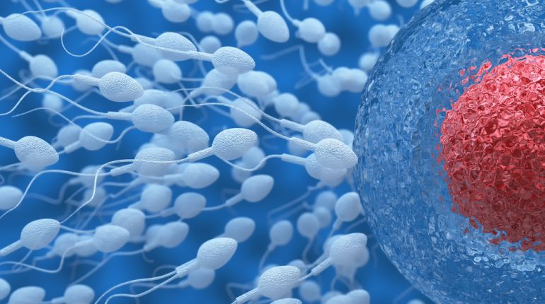 Výzkum: Nejmenší šanci zplodit dítě mají dvacítka a čtyřicátník