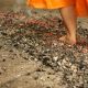 Firewalking: Popálit si lze nejen chodidla, ale i vlastní duši