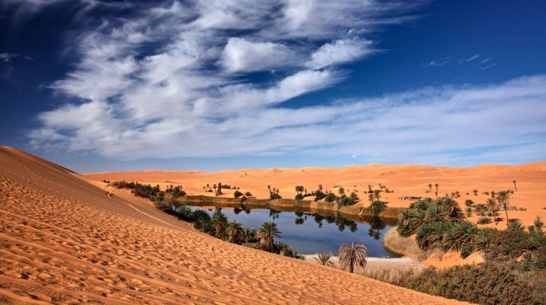Díky vodě ze záchodu pěstují Egypťané lesy v poušti