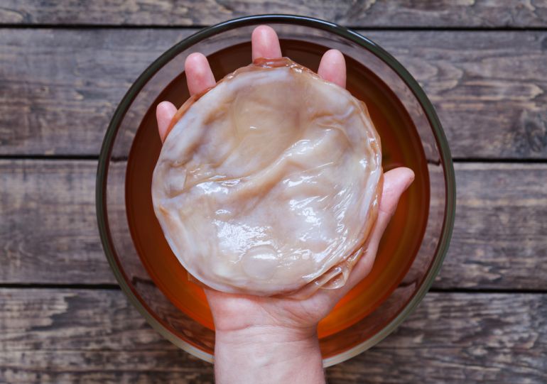 kombucha2