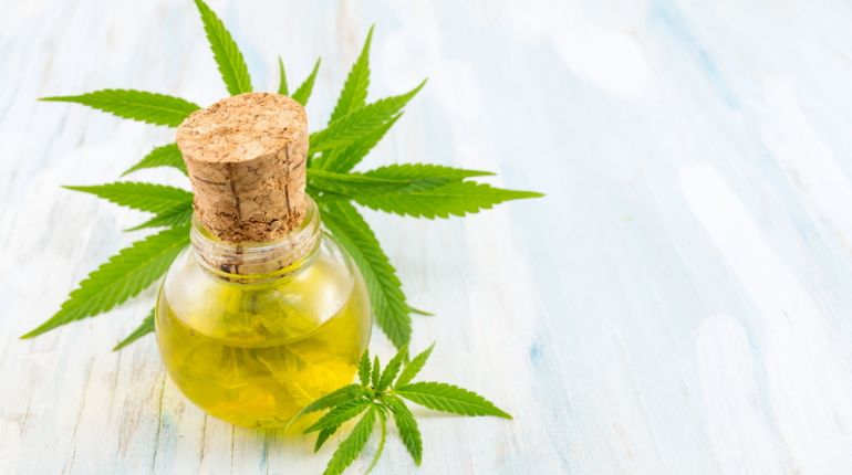 WHO prozkoumá léčivou sílu konopí. Dočkáme se legalizace? 