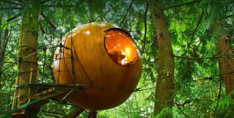 treehouse can