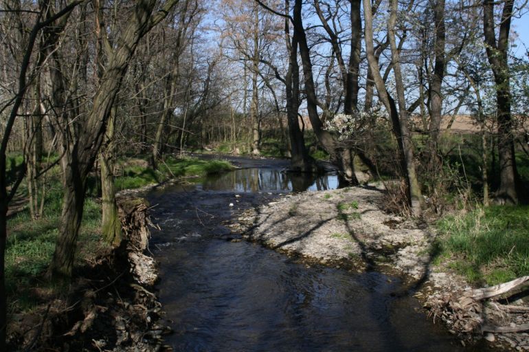 reka hloucela 3