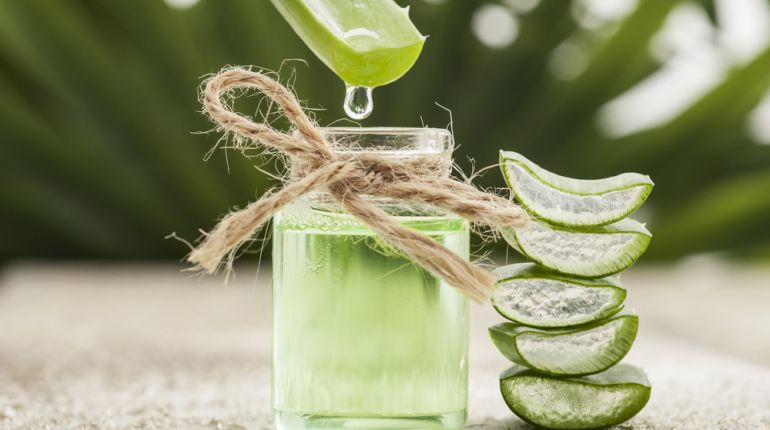 Všelék Aloe Vera umí být i toxický. Víme, kdy!