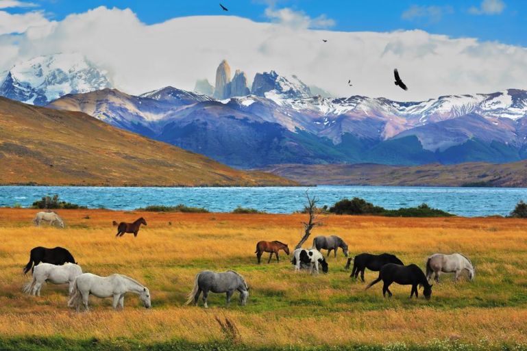 chile shutterstock 274059275