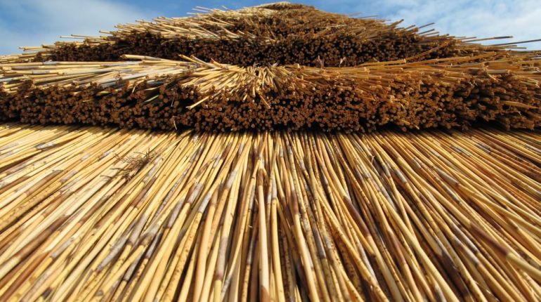 Pozitiva i úskalí slaměného domu. V Nebrasce ho sežraly krávy
