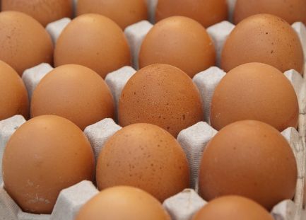 eggs 1882837 640
