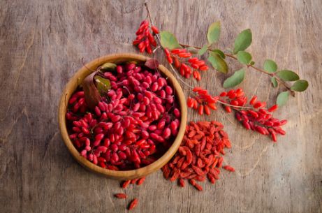 goji shutter