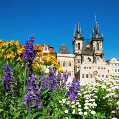 guerilla gardening shutterstock 156799088