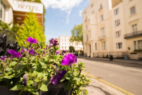 guerilla gardening shutterstock 484011937
