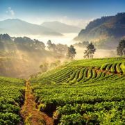 Chiang Mai / Pai, Thajsko. Naprosto nádherná oblast v horách na severu Thajska s obrovskou koncentrací neziskovek, fair trade společností a uprchlických táborů. Úchvatné výhledy, spousta horkých pramenů, úžasná rozmanitost místní kultury, fantastická káva a nespočet reggae hippies. Zde bych si dokázala představit, že budu bydlet.