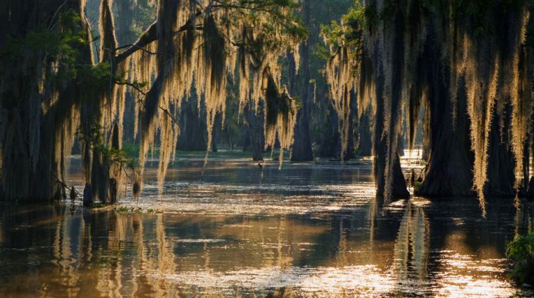 Guvernér Louisiany vyhlásil stav nouze, pobřeží státu se začíná ztrácet