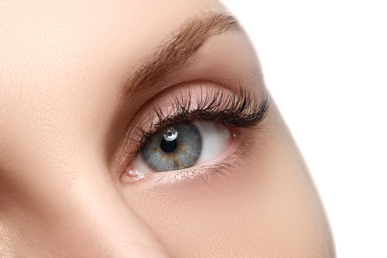 rasy shutterstock 330064112