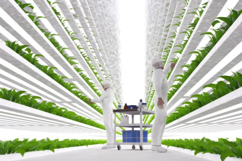 vertikalni farma shutterstock 451732198