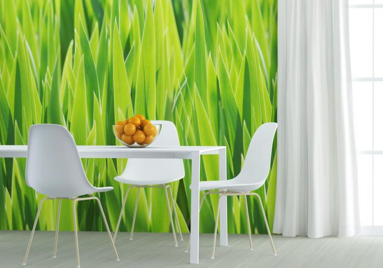 tapety shutterstock 201229109