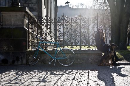 tokyobike classic sport peacock