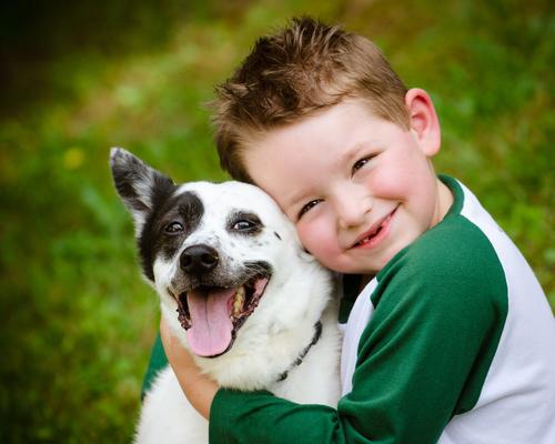 canis terapie shutterstock 138867431
