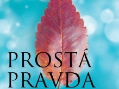 prost_pravda_1294571980