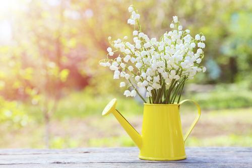 shutterstock 579199627