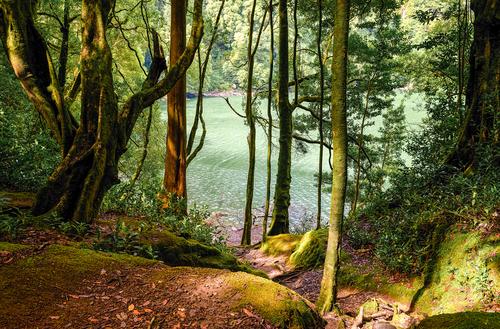 les shutterstock 541250920