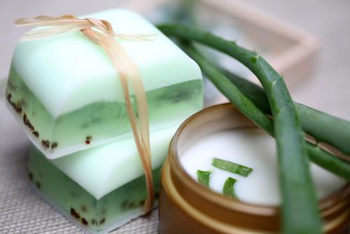diy sampon shutterstock 66358240