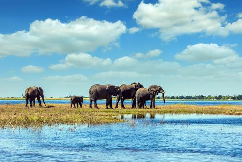 okavanga shutterstock 520999663